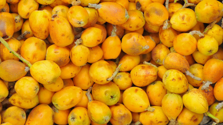 The science behind Marula Oil